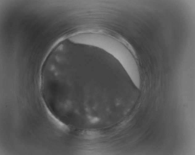 X0000081331095200702082156