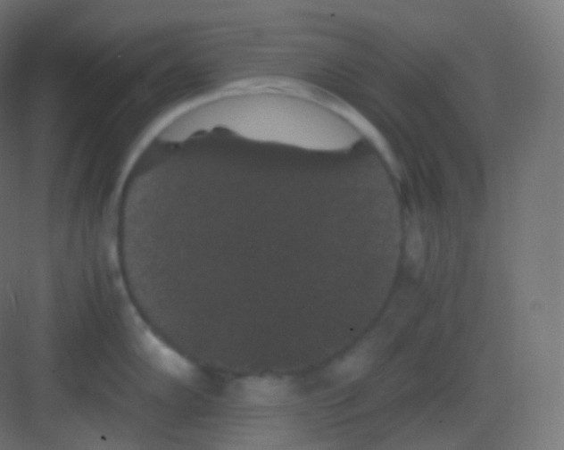 X0000081331102200702082156