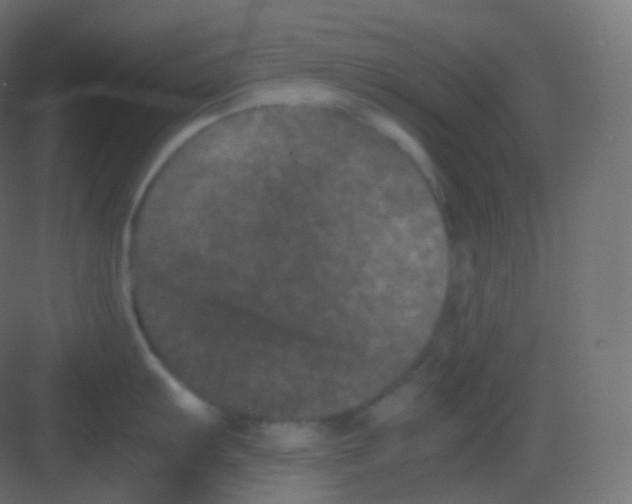 X0000081331103200702082155