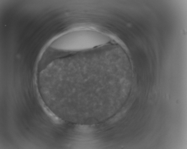 X0000081331104200702082155