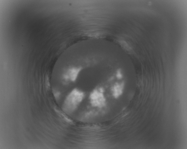 X0000081331106200702082155