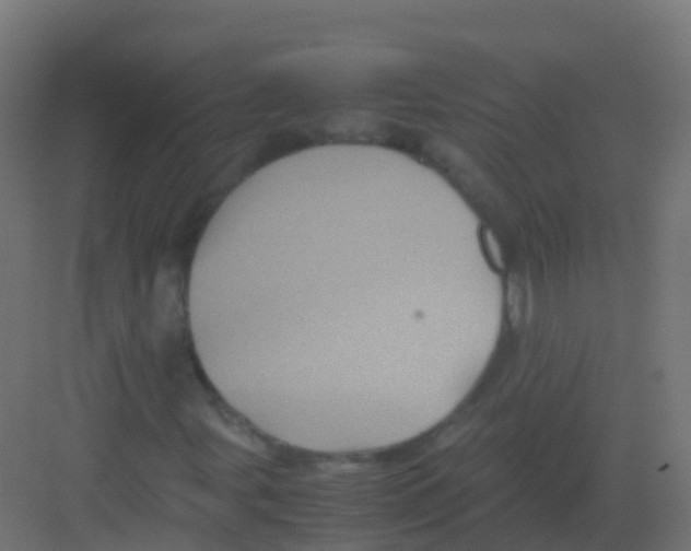 X0000081331107200702082155