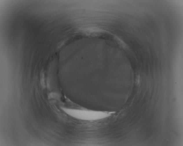 X0000081331108200702082155