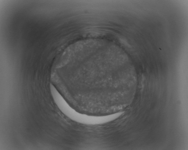 X0000081331109200702082155