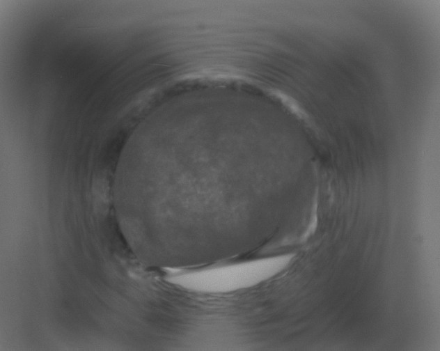 X0000081331110200702082155