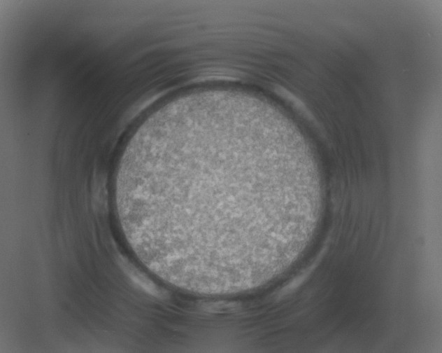 X0000081331113200702082155