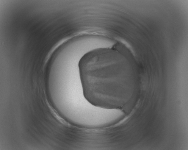 X0000081331114200702082155