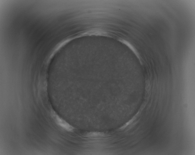 X0000081331115200702082155