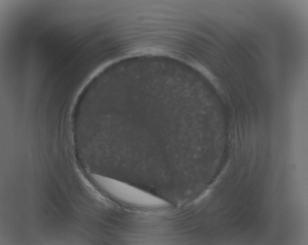 X0000081331118200702082155