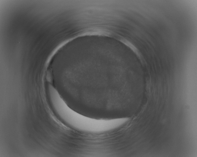 X0000081331120200702082155