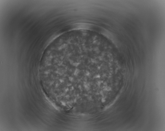 X0000081331121200702082155