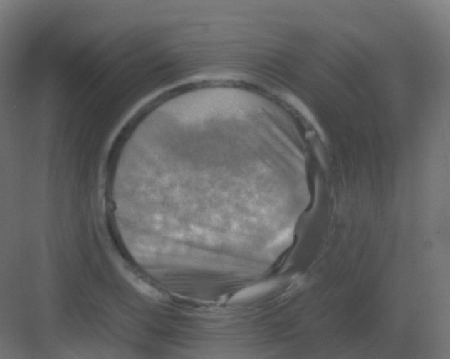 X0000081331124200702082155