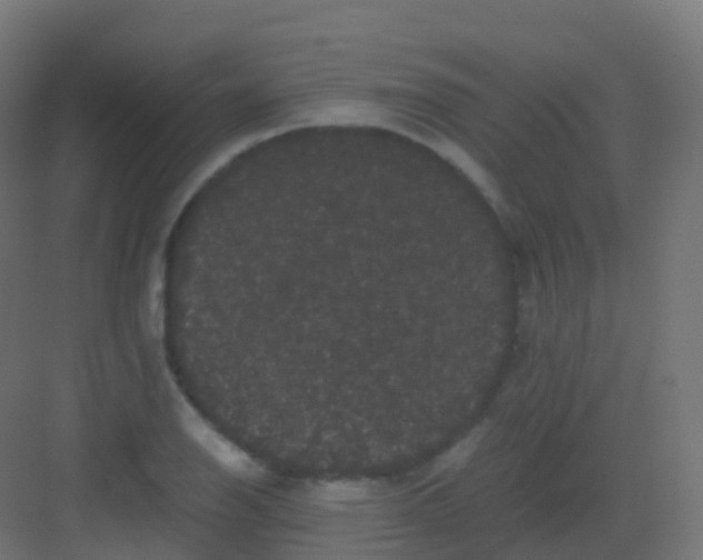 X0000081331126200702082155