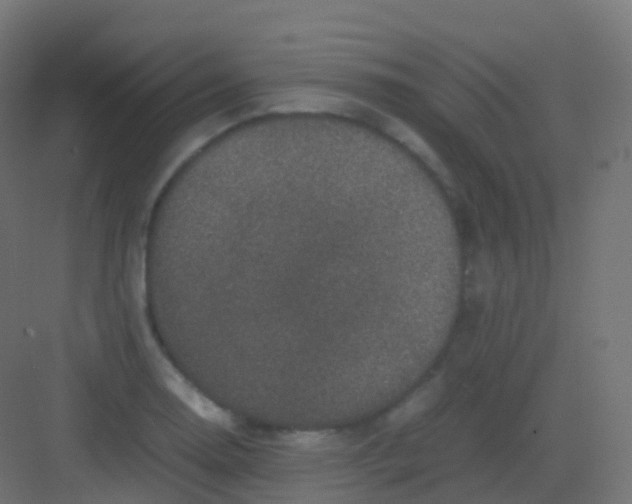 X0000081331130200702082155