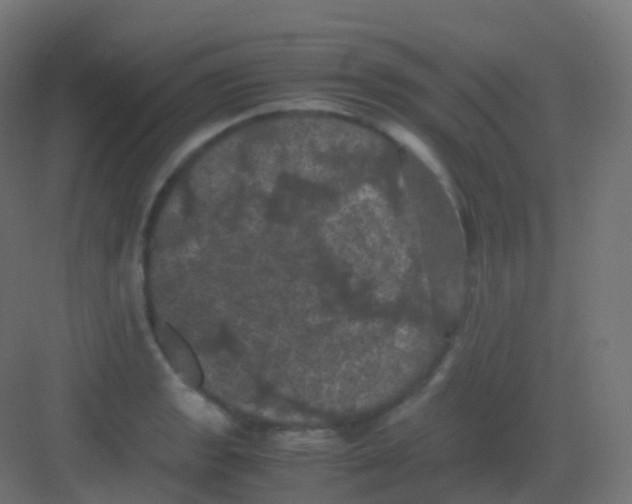 X0000081331133200702082155