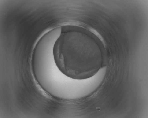 X0000081331138200702082155