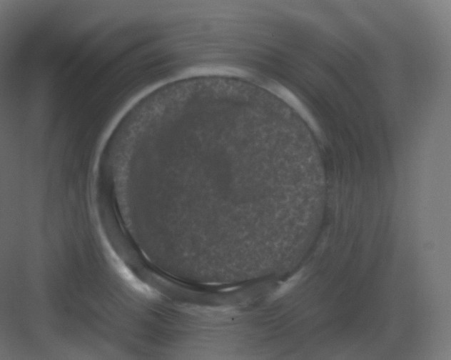 X0000081331140200702082155