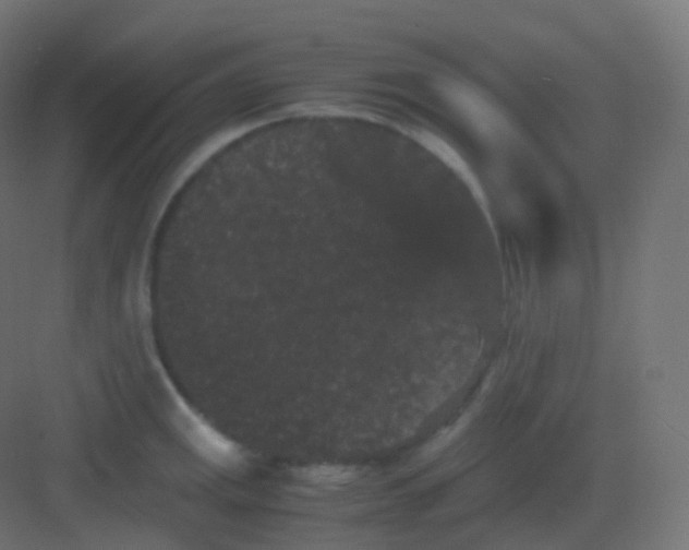 X0000081331141200702082155