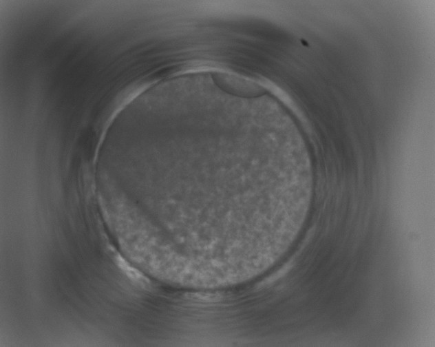 X0000081331145200702082155