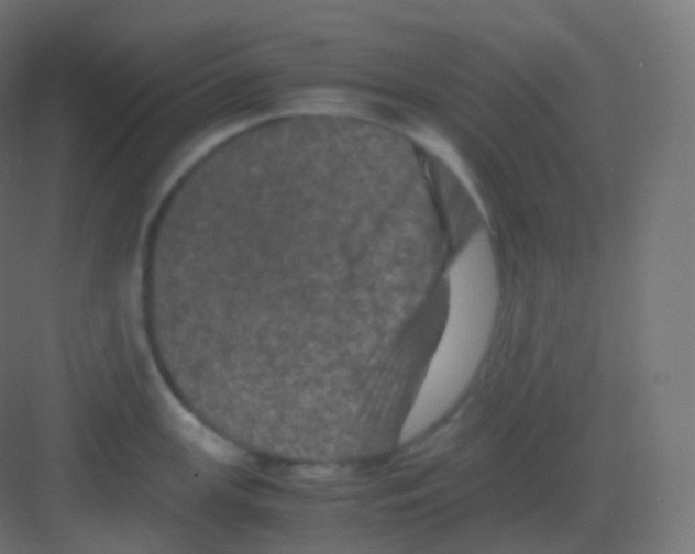 X0000081331147200702082155