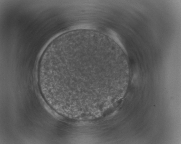 X0000081331148200702082155