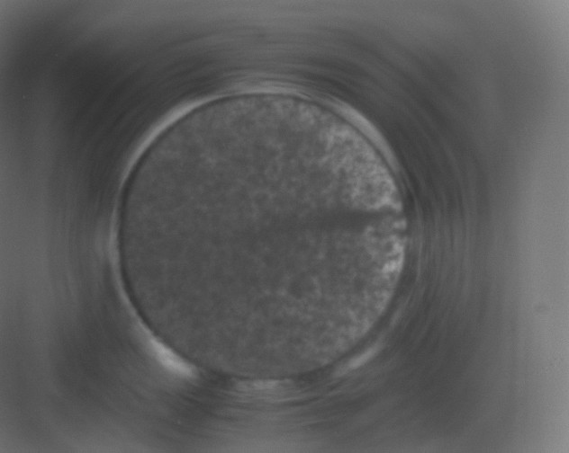 X0000081331149200702082155