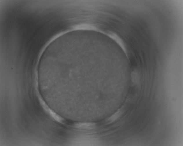 X0000081331150200702082155