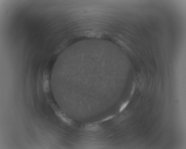 X0000081331154200702082155