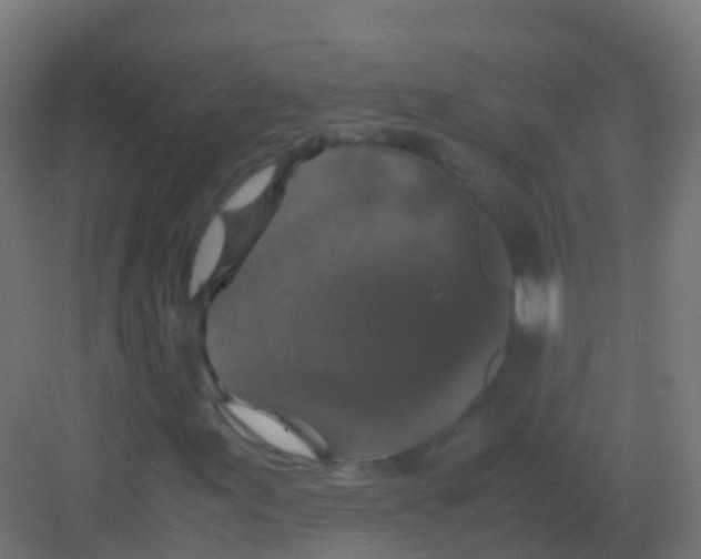 X0000081331155200702082155