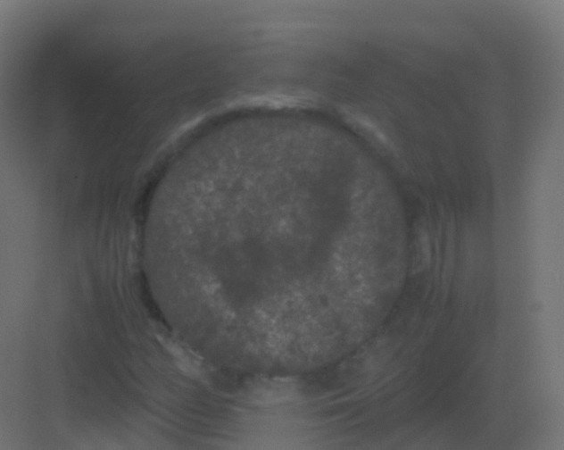 X0000081331158200702082155