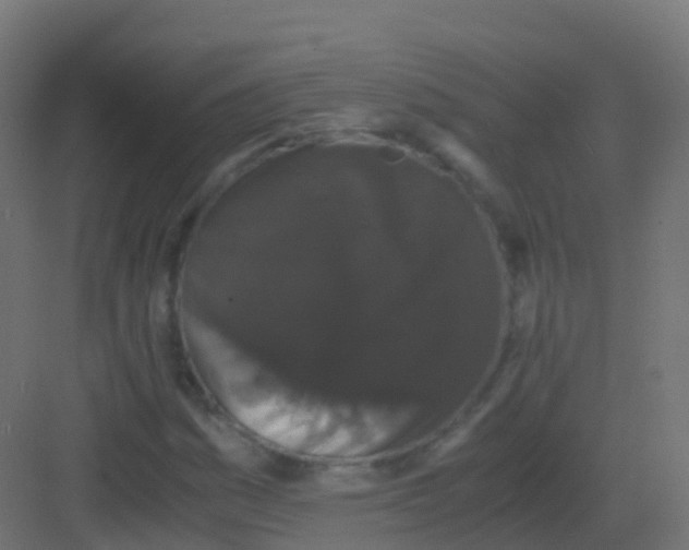 X0000081331161200702082155