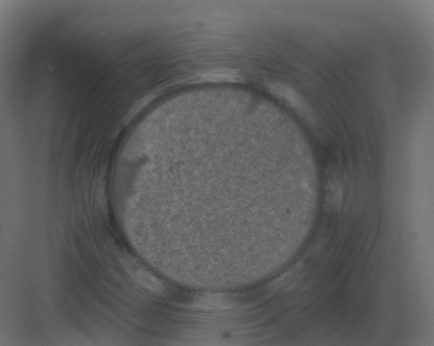 X0000081331162200702082154