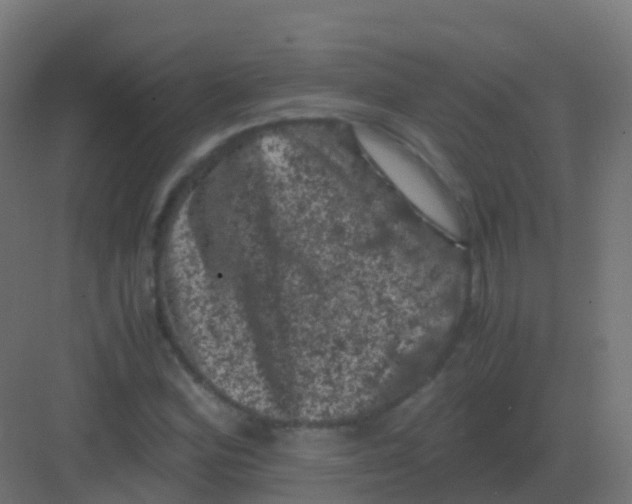 X0000081331164200702082154