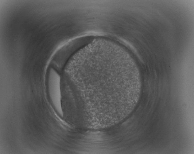 X0000081331168200702082154