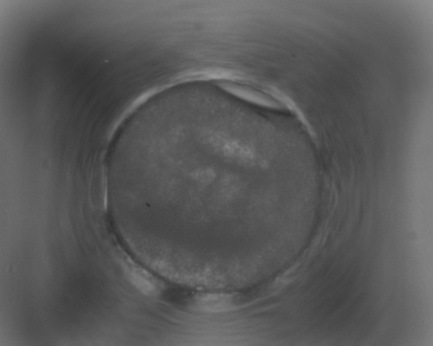 X0000081331171200702082154