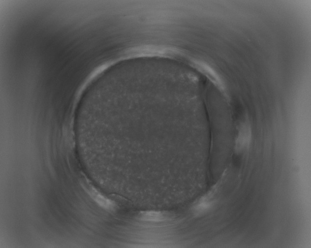 X0000081331172200702082154