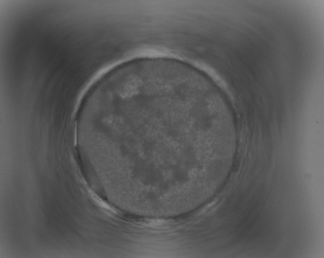 X0000081331175200702082154