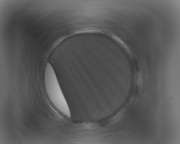 X0000081331177200702082154