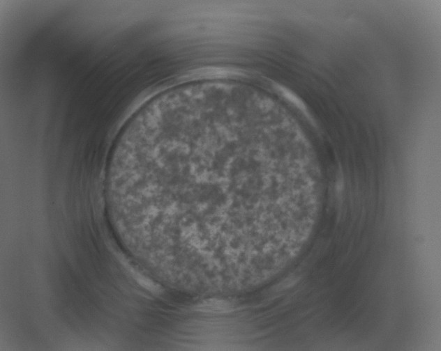 X0000081331178200702082154