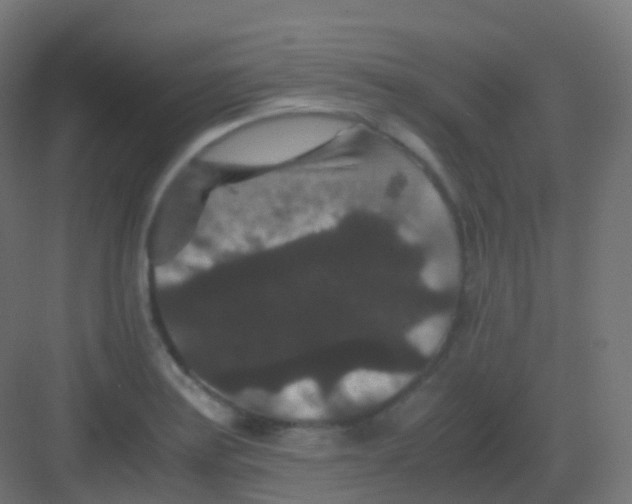 X0000081331179200702082154