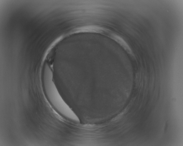 X0000081331180200702082154