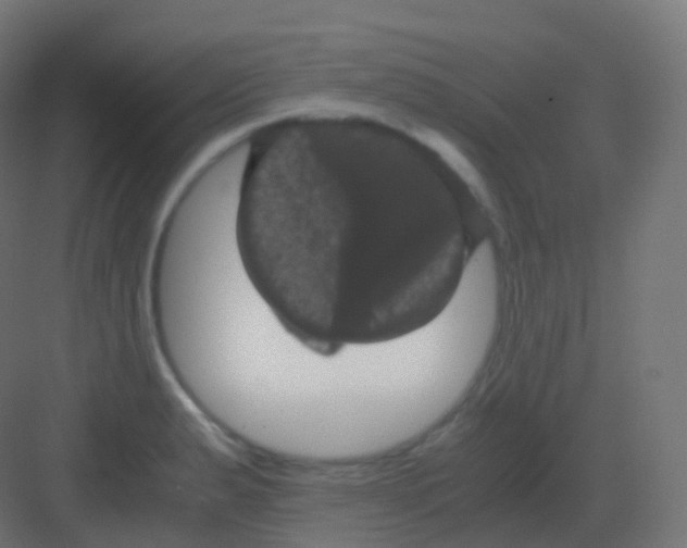 X0000081331183200702082154