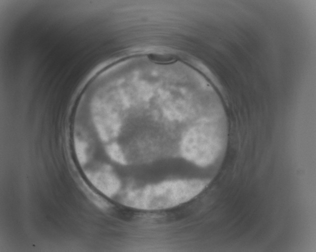 X0000081331187200702082154