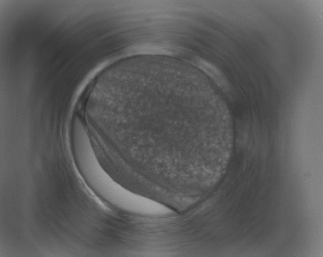 X0000081331188200702082154