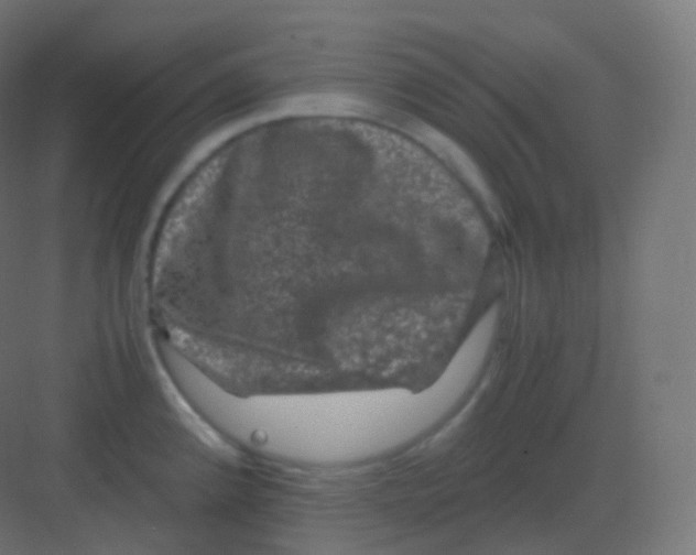 X0000081331192200702082154