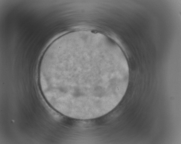 X0000081331195200702082154