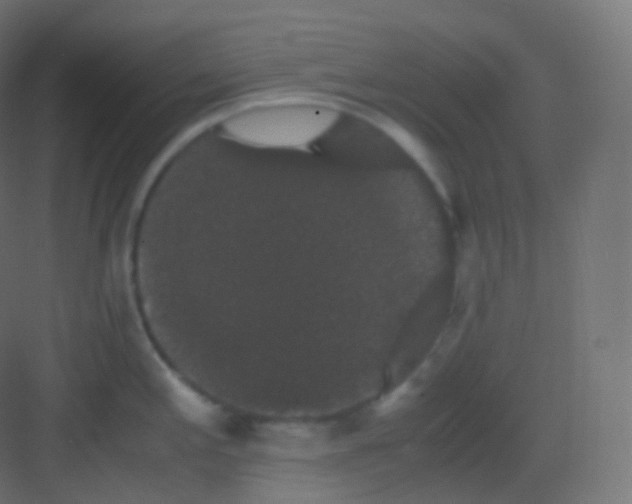 X0000081331197200702082154