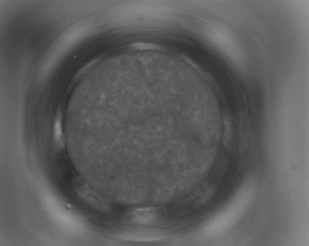 X0000081331198200702082154