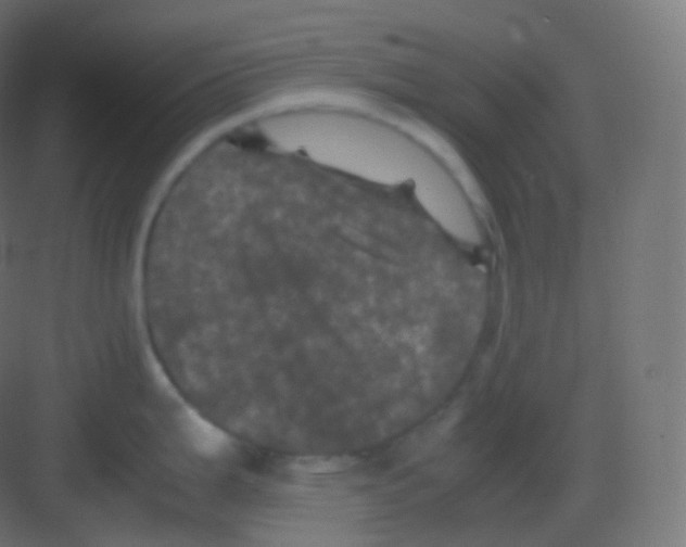 X0000081331199200702082154