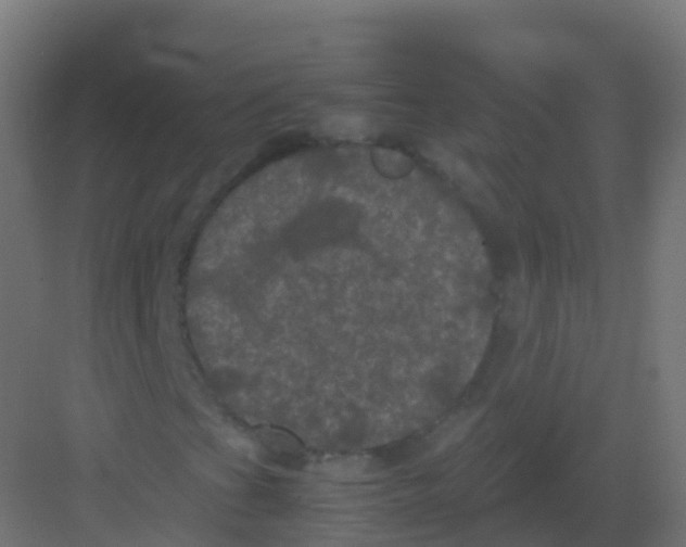 X0000081331201200702082153